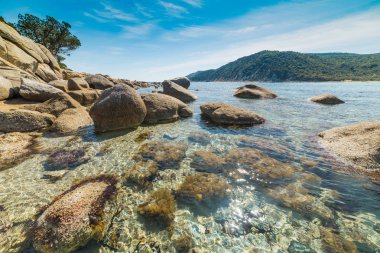 Kayalar ve Cala Pira plaj Villasimius içinde temiz su. Sardunya, İtalya
