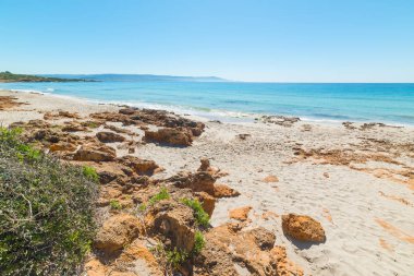 Le Bombarde Beach Alghero'da kum ve kaya. Sardunya, İtalya
