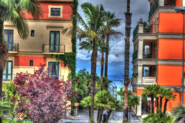 Colorful Buildings Palm Tree World Famous Sorrento Campania Italy — Stock Photo, Image