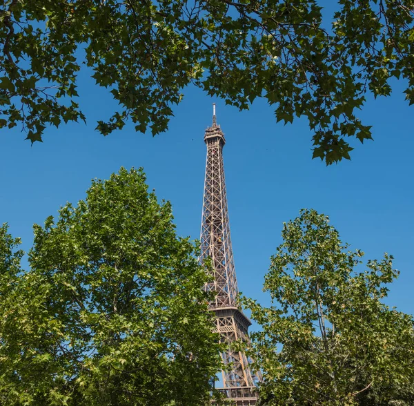 世界有名なエッフェル塔緑の葉を通して見た フランス — ストック写真