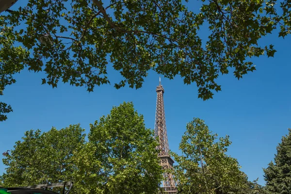 Всемирно Известная Эйфелева Башня Видна Сквозь Зеленые Листья Париж Франция — стоковое фото