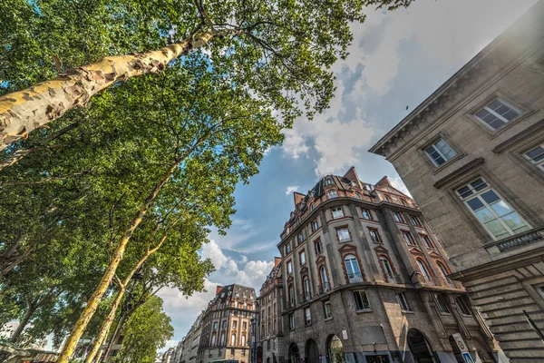 Hoge Bomen Elegante Gebouwen Parijs Frankrijk — Stockfoto