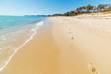 Renkli sahil PISCINA Rei Beach. Sardunya, İtalya