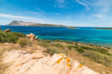 Capo Coda Cavallo içinde renkli sahil. Sardunya, İtalya