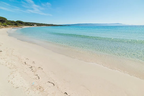 Türkisfarbenes Wasser Und Weißer Sand Bombarde Strand Alghero Sardinien Italien — Stockfoto