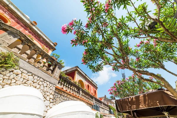 Elegantes Gebäude Und Oleanderbaum Auf Der Weltberühmten Insel Capri Italien — Stockfoto
