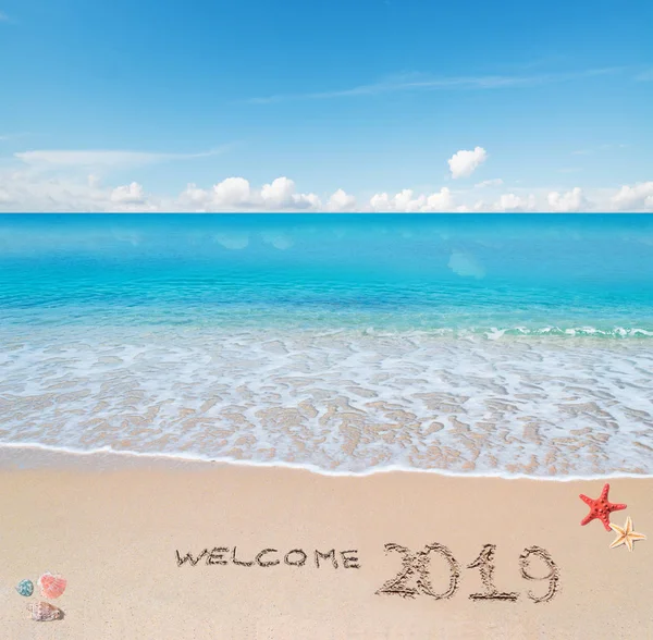 青緑色の水とシェルと金色の砂と海の星上に書かれた 2019年へようこそ — ストック写真