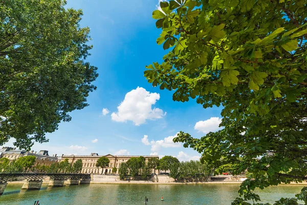 Río Sena Visto Través Árboles Verdes París Francia —  Fotos de Stock