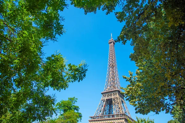 Faimosul Turn Eiffel Văzut Prin Copaci Verzi Paris Franța — Fotografie, imagine de stoc