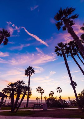 Günbatımı Santa Monica sahilinde palmiye ağaçlarıyla. Los Angeles, Kaliforniya