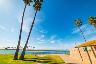 Güneşli bir avuç içi Mission Bay. San Diego, Güney Kaliforniya