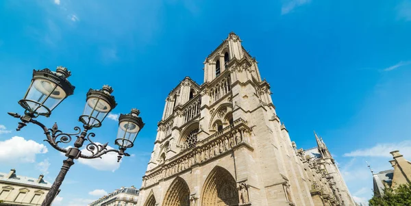 World Famous Notre Dame Cathedral Ile Cite Paris France — Stock Photo, Image