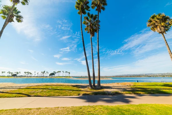 Palm Trees Mission Bay San Diego Southern California Usa — Stock Photo, Image