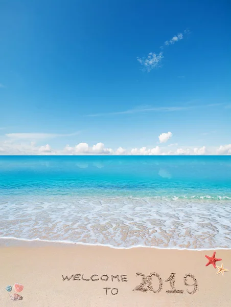 青緑色の水とシェルと金色の砂と海の星上に書かれた 2019年へようこそ — ストック写真