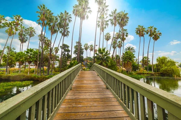 Echo Park Göl Los Angeles Küçük Ahşap Köprü Güney Kaliforniya — Stok fotoğraf