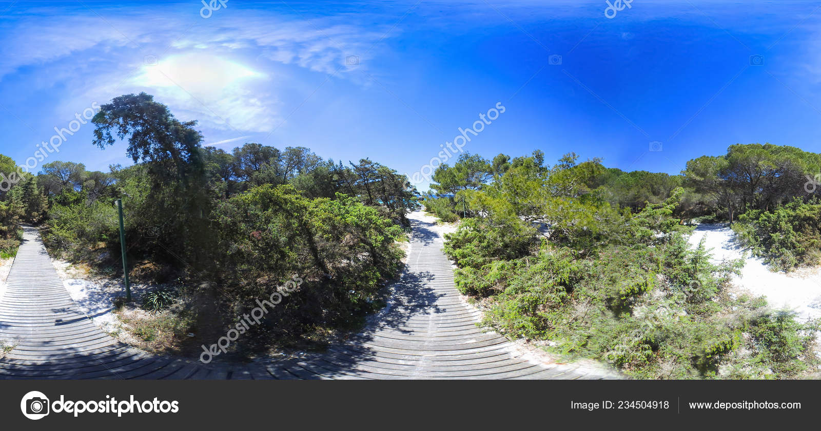 Vista 360 Gradi Una Passerella Legno Nella Pineta Sul Mare
