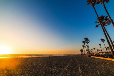Palmiye ağaçları ve kumlu sahilinde günbatımı, Orange County Newport Beach. Güney Kaliforniya, ABD