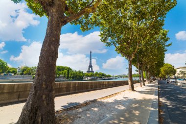 Dünya ünlü Eyfel Kulesi arka planda yeşil ağaçlar Seine Nehri tarafından. Paris, Fransa