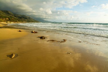Kumlu kıyı La Speranza Beach gün batımında. Sardunya, İtalya