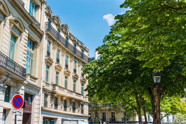 Green trees by luxury buildings in Paris, France