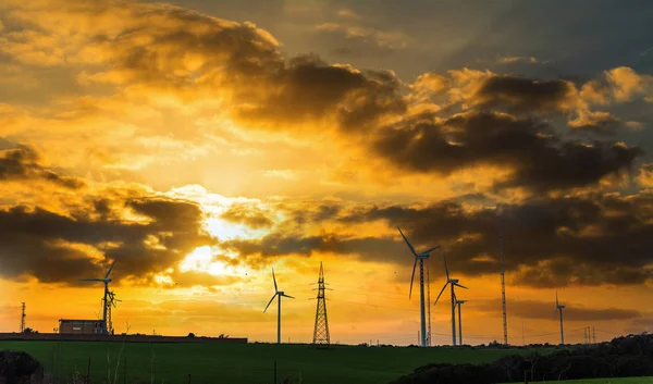 日落时在绿地上的风力涡轮机 意大利撒丁岛 — 图库照片