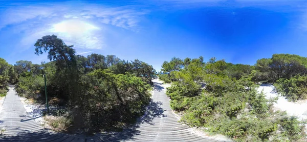 360 Graus Vista Uma Calçada Madeira Pinhal Junto Mar Praia — Fotografia de Stock