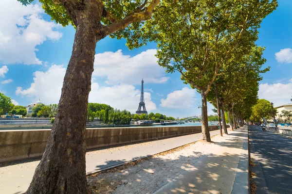 Zöld Fák Szajna Partján Eiffel Toronytól Háttérben Paris Franciaország — Stock Fotó