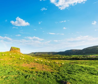 Nuraghe ve Sardinya yeşil bir tepede koyun sürüsü