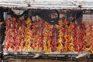 Kırmızı ve sarı biber halatlar üzerinde asılı bir gıda tarafından sıcak stan