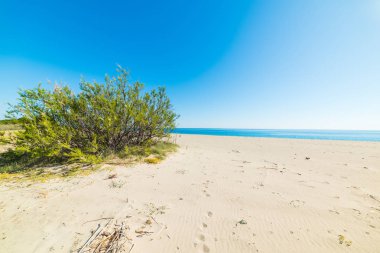 Perdepera huzurlu görünümünü beyaz kumları ve mavi deniz