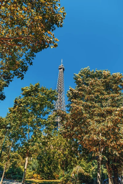 Всемирно известная Эйфелева башня в окружении зеленых деревьев — стоковое фото