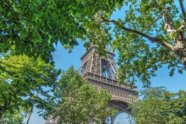 Зеленые листья и всемирно известная Эйфелева башня в Париже — стоковое фото