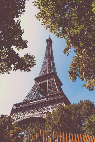 Groene bomen omringende wereld beroemde Eiffeltoren — Stockfoto