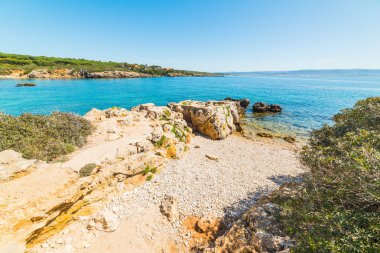 Çakıl taşları ve küçük bir koy Alghero'da bitkilerde