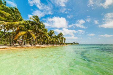 Guadeloupe ada Beach'de Bois Jolan