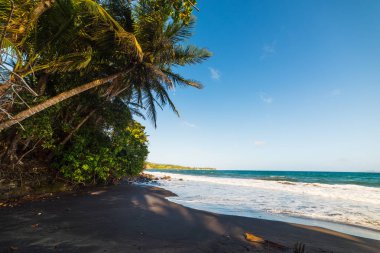 Basse Terre Grande Anse Plajı karanlık kuma