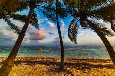 Gün batımında Guadeloupe ada Beach'de Bois Jolan