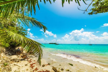 La Datcha Beach Guadeloupe Island renkli sahil