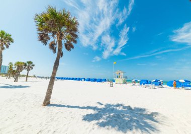 Beyaz kum ve palmiye ağaçları Clearwater
