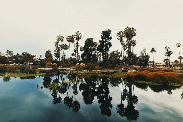 Mulen himmel över Echo park lake i Los Angeles — Stockfoto