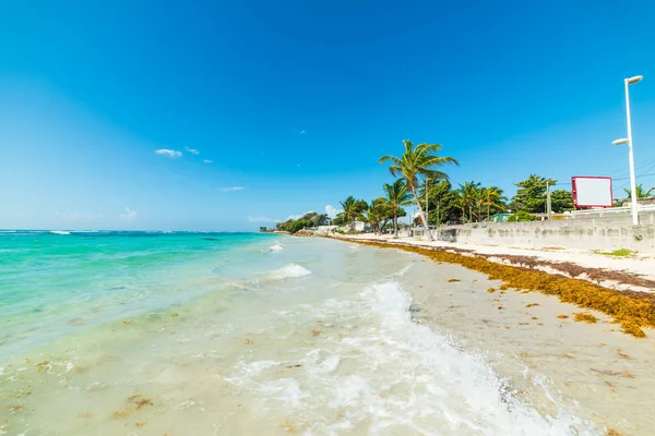 Acqua turchese in Raisins Clairs spiaggia in Guadalupa — Foto Stock