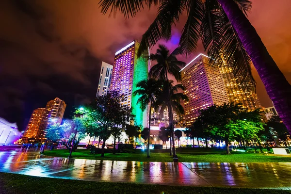 Palmas e arranha-céus coloridos no centro de Miami à noite — Fotografia de Stock