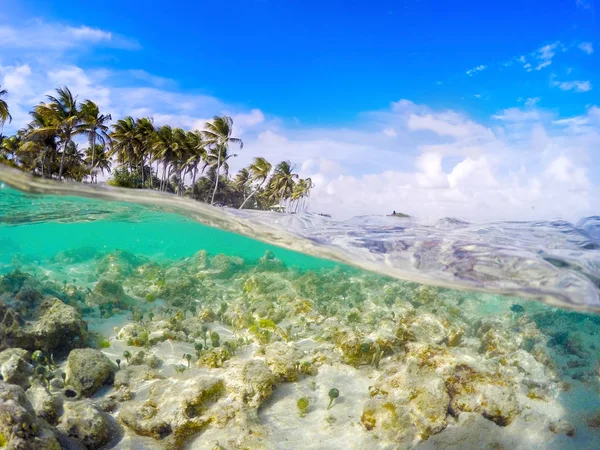 Vista subaquática dividida da costa de La Caravelle em Guadalupe — Fotografia de Stock