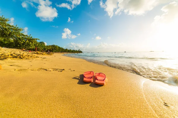 Žabky na písku v Le Souffleur beach v Guadeloupe — Stock fotografie