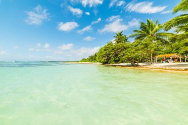 Guadeloupe Bois Jolan plajda Turkuaz deniz ve mavi deniz