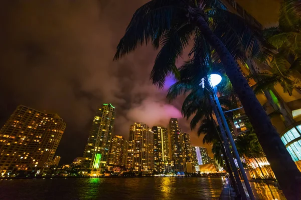 Palm trees and skyscrapers in Miami river walk by night
