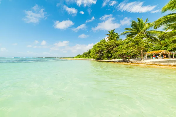 Tyrkysové moře a modré moře z pláže Bois Jolan na Guadeloupe — Stock fotografie