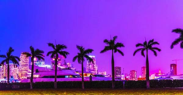 Palmeras bajo un cielo colorido en Miami Beach — Foto de Stock