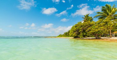 Colorful shore in Bois Jolan beach in Guadeloupe clipart