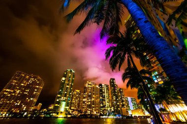 Miami nehrigökdelenler ve palmiye ağaçları gece yürümek